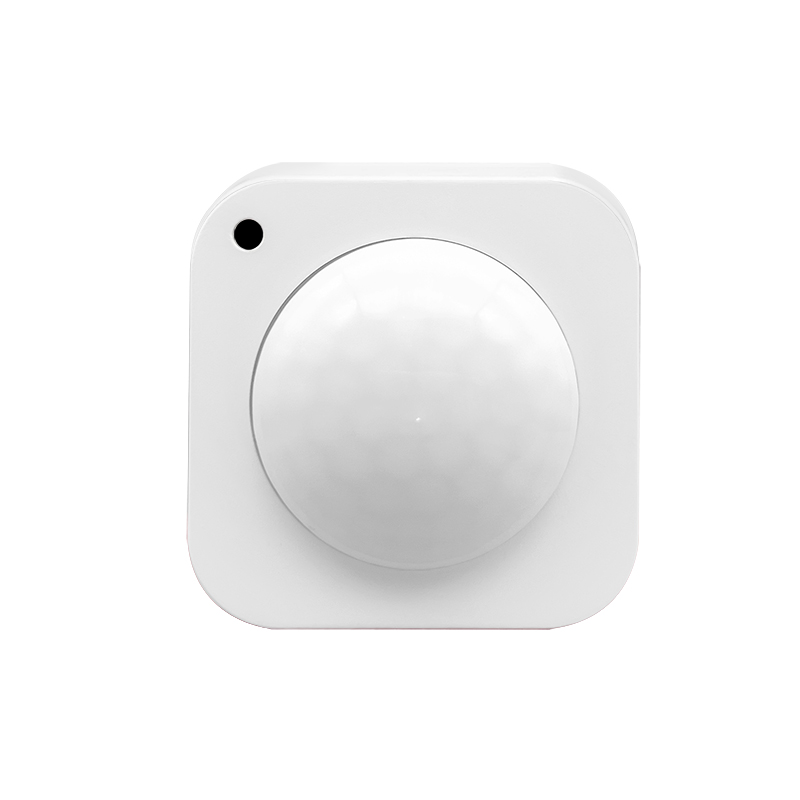 PIR Motion Sensor