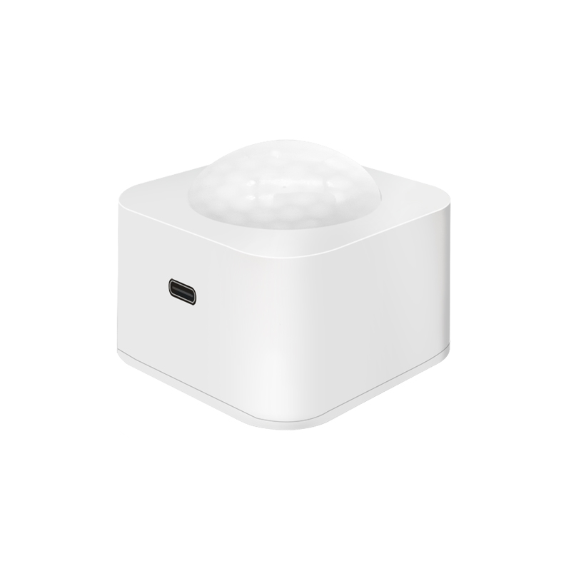 PIR Motion Sensor